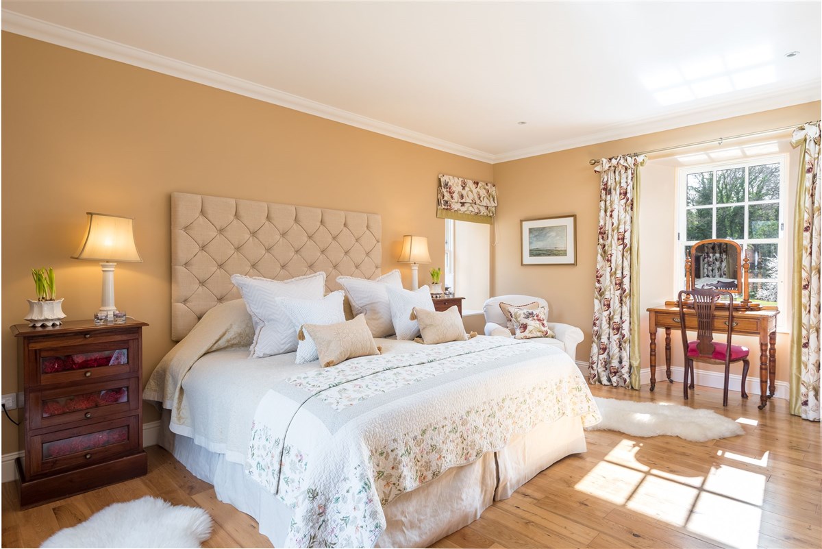 Guest Bed 