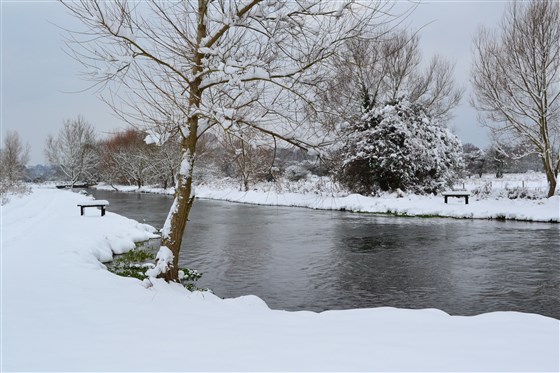 Snow scene