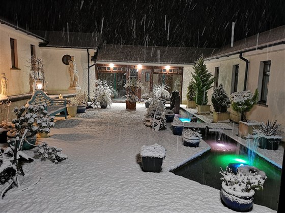 Snowfall in the courtyard