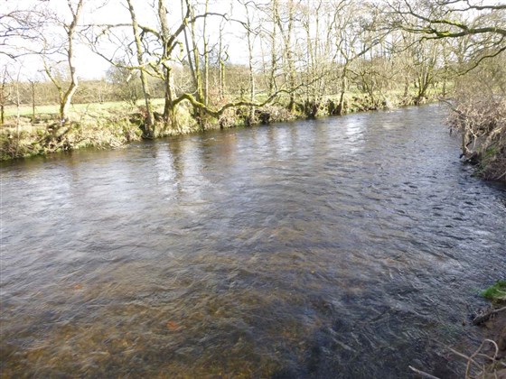 Applegarth