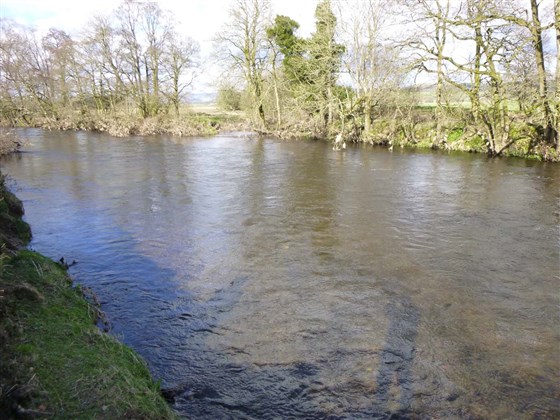 Applegarth