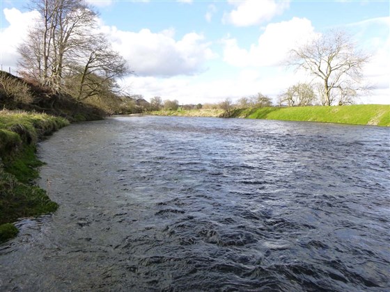 Applegarth