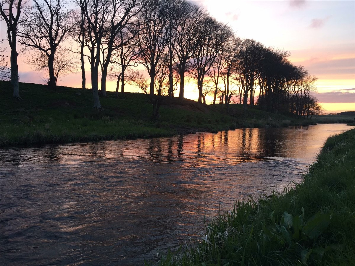 Dusk On the River