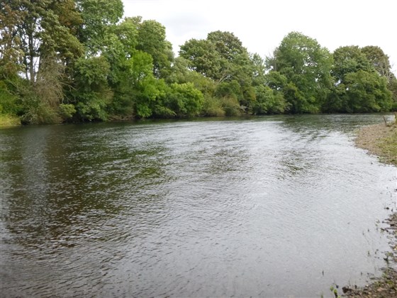 Beat 3, low water wading