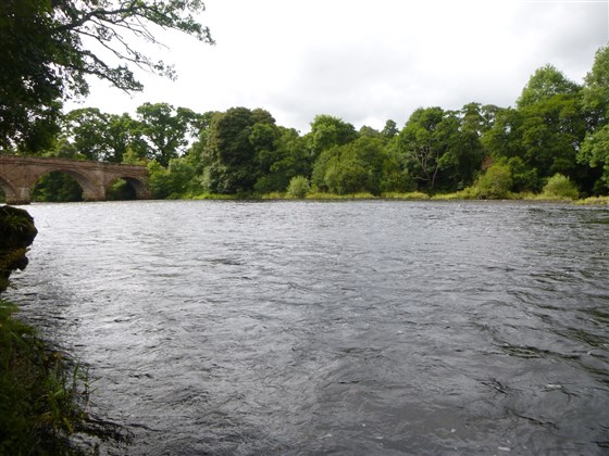 View from Beat 1 North bank towards the Holiday Park