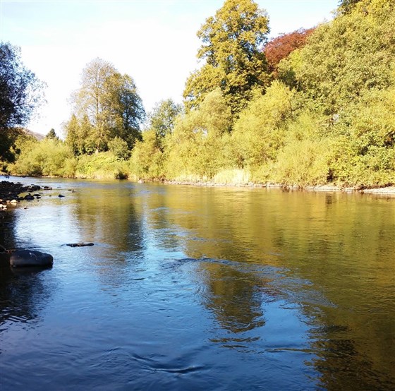 Border Esk