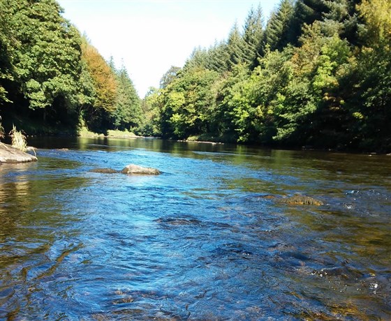 Border Esk