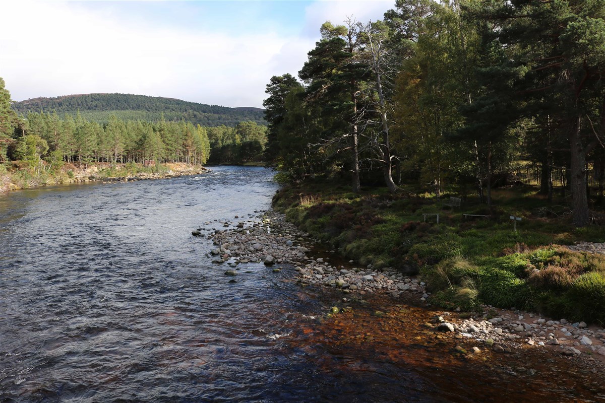 Balmoral