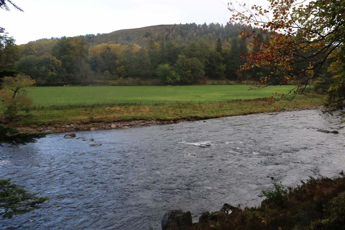 Balmoral
