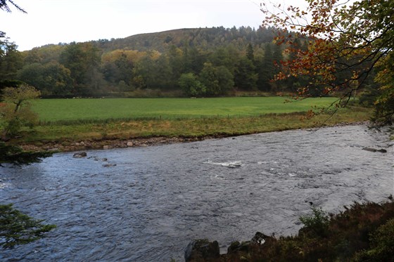 Balmoral