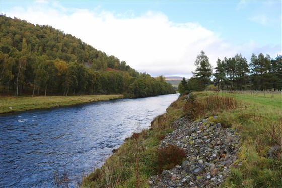 Balmoral