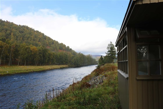 Balmoral