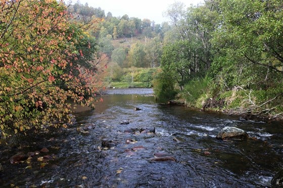 Balmoral