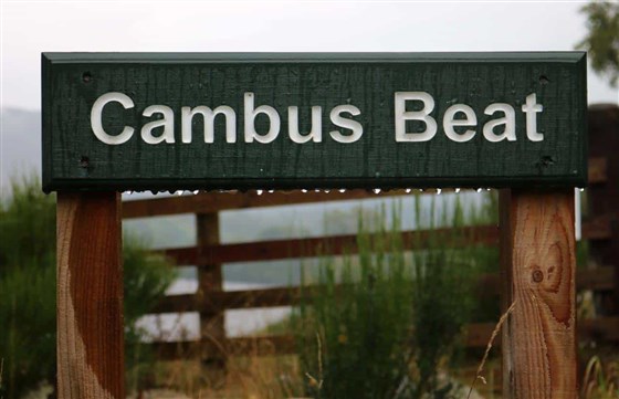 sign
