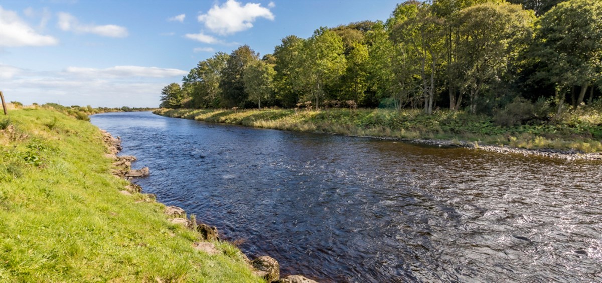Kinnaber Fishings