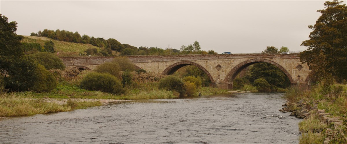 Kinnaber Fishings