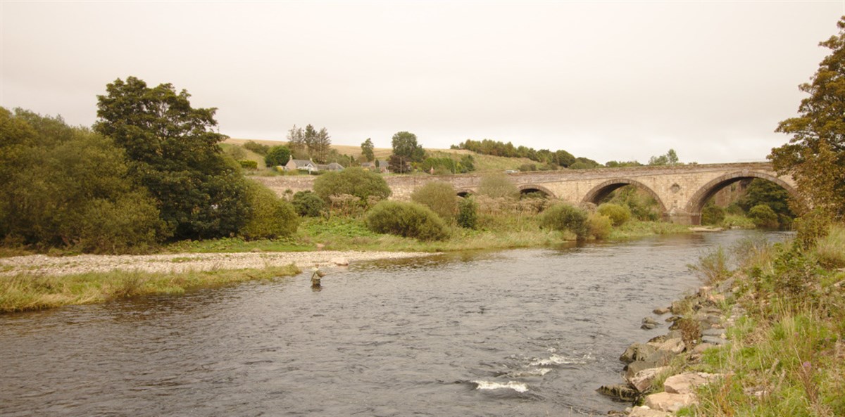 Kinnaber Fishings