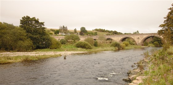 Kinnaber Fishings