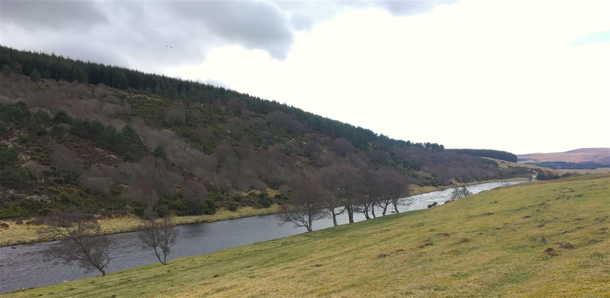 Findhorn 