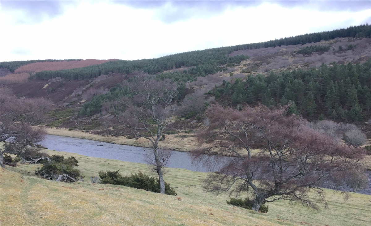 Findhorn 