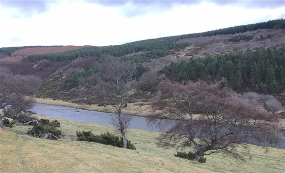 Findhorn 