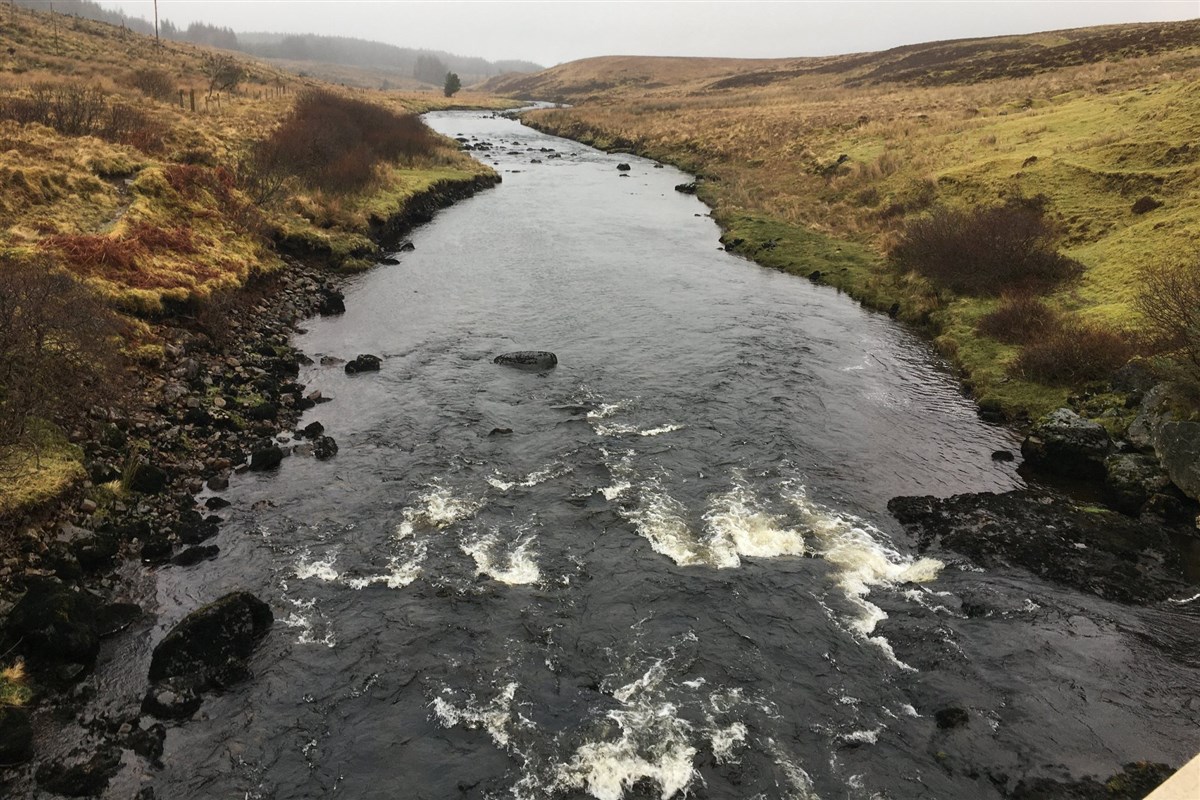 The Struan Road Bridge Pool.