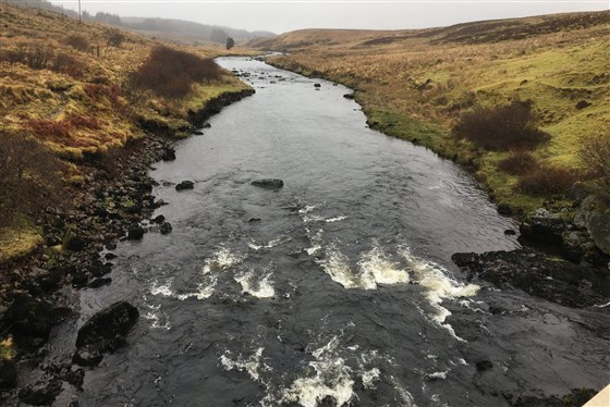 The Struan Road Bridge Pool.