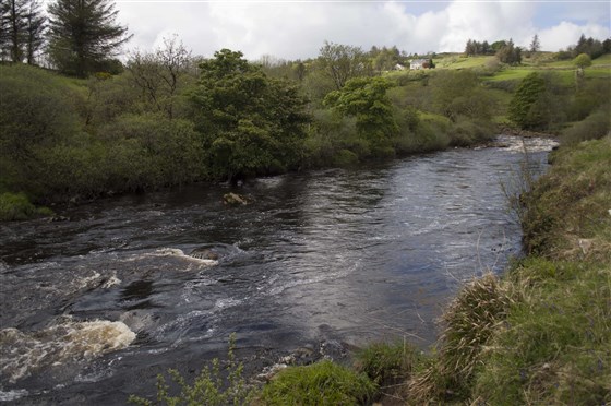Glenmore Rivers