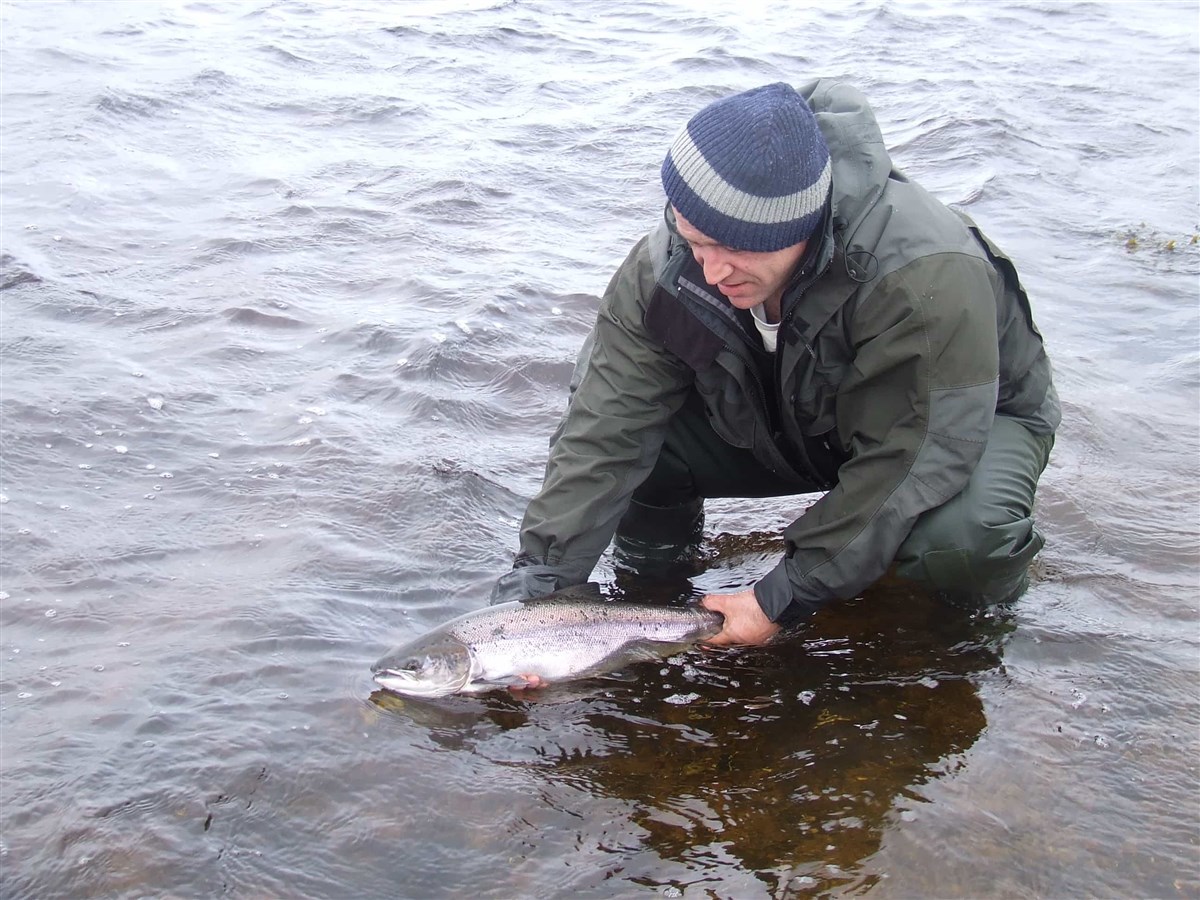 Steinish Pool salmon