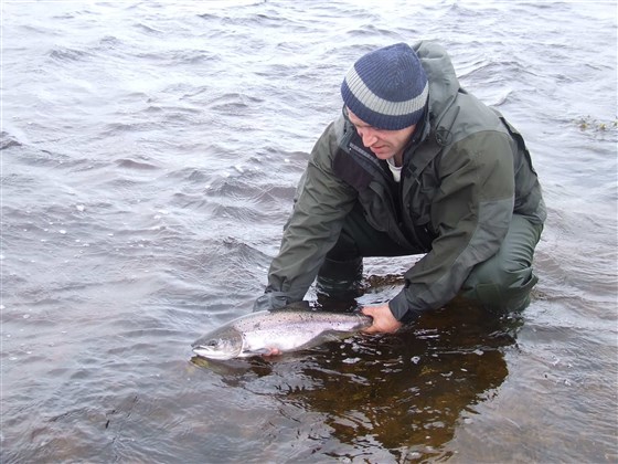 Steinish Pool salmon