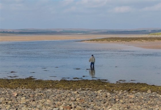 Steinish Pool