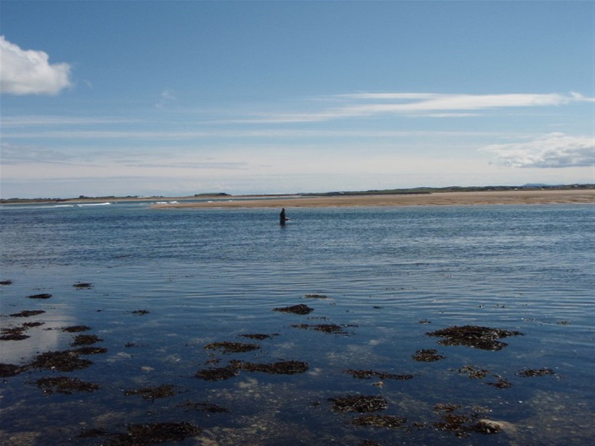 Tong Pool