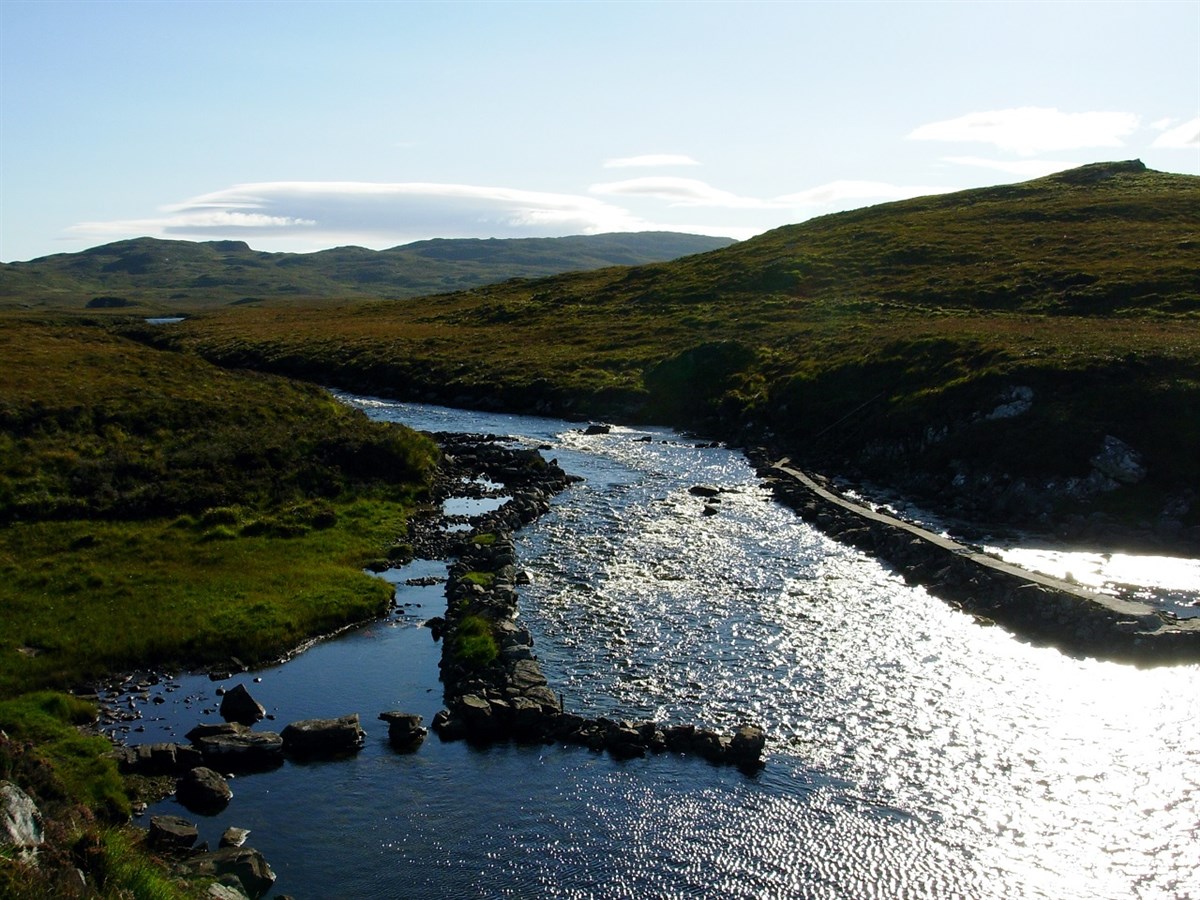 Macleays Stream