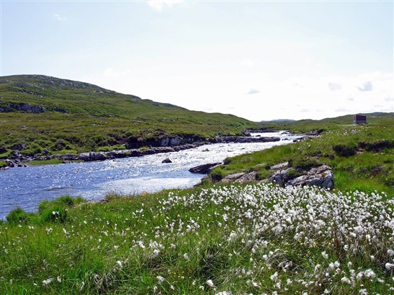 Burnfoot Pool