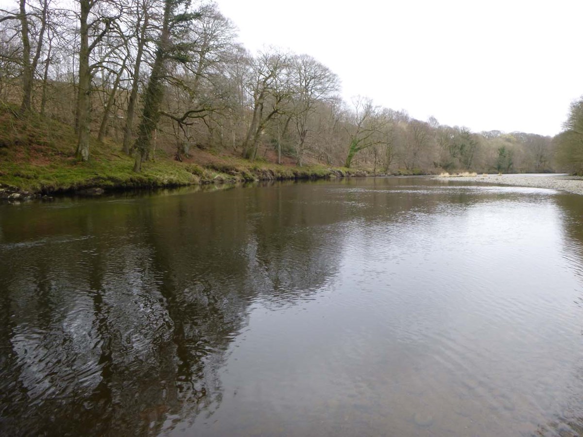 Marsdens pool