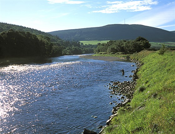 Willows Pool