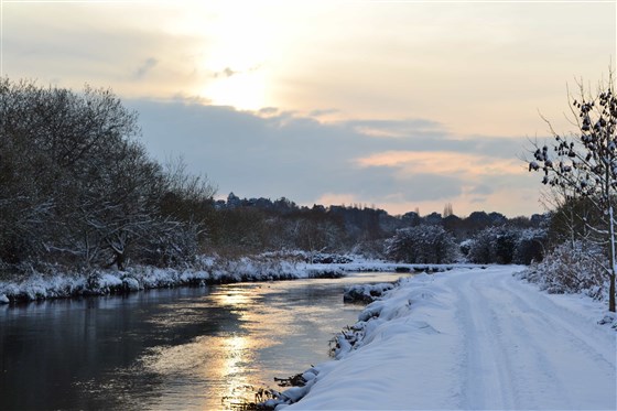 Snowy scene