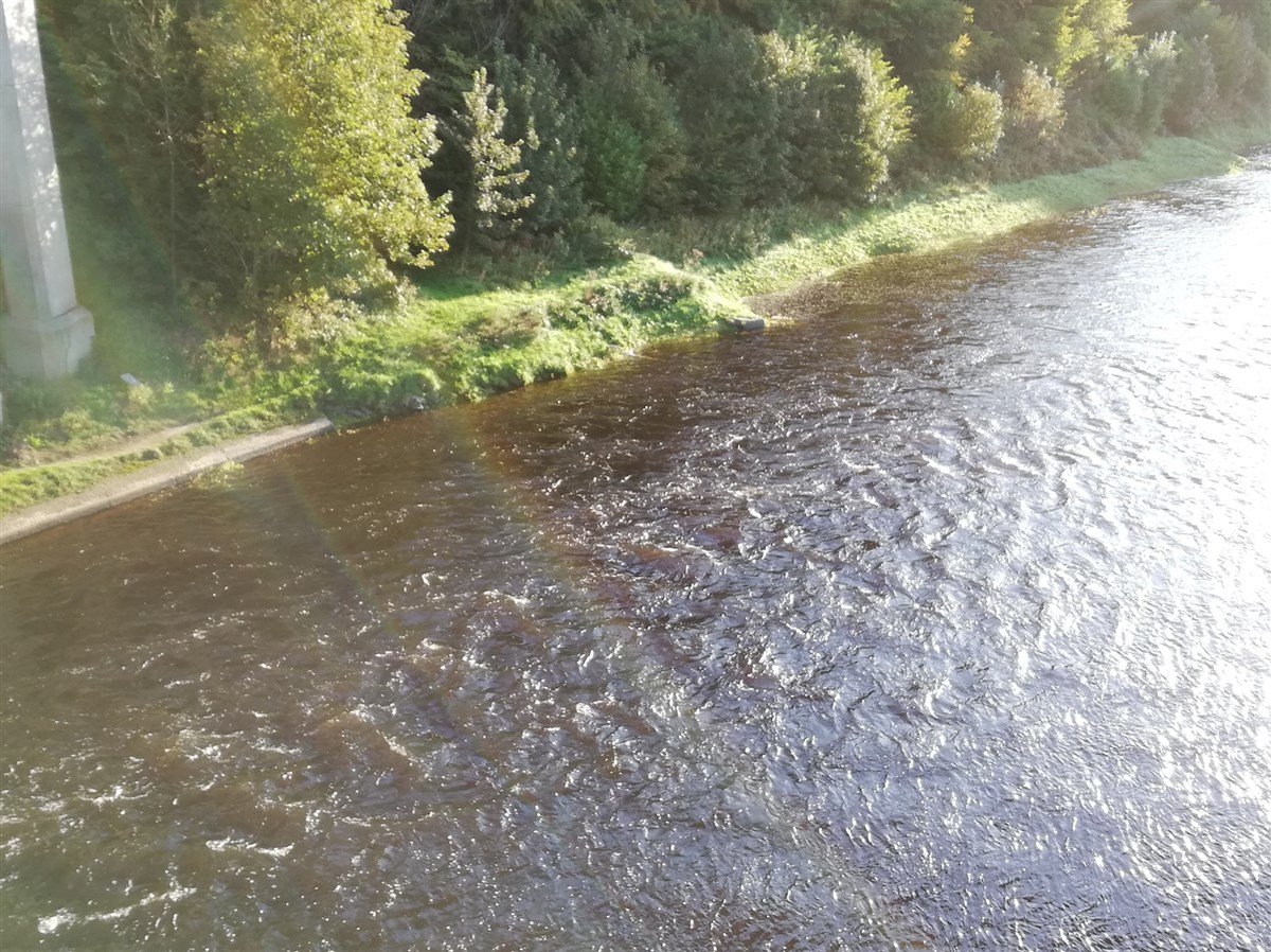 Drygrange 2