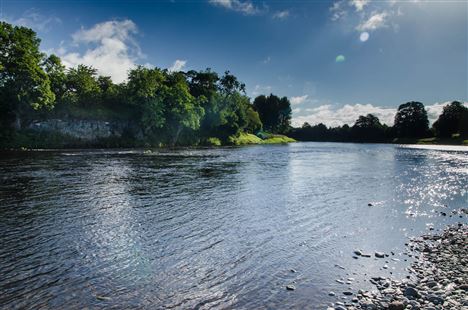 Fishpal FishPal - buy fishing permits for salmon, trout and grayling