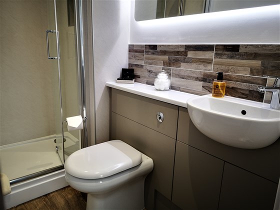 Room 4 bathroom