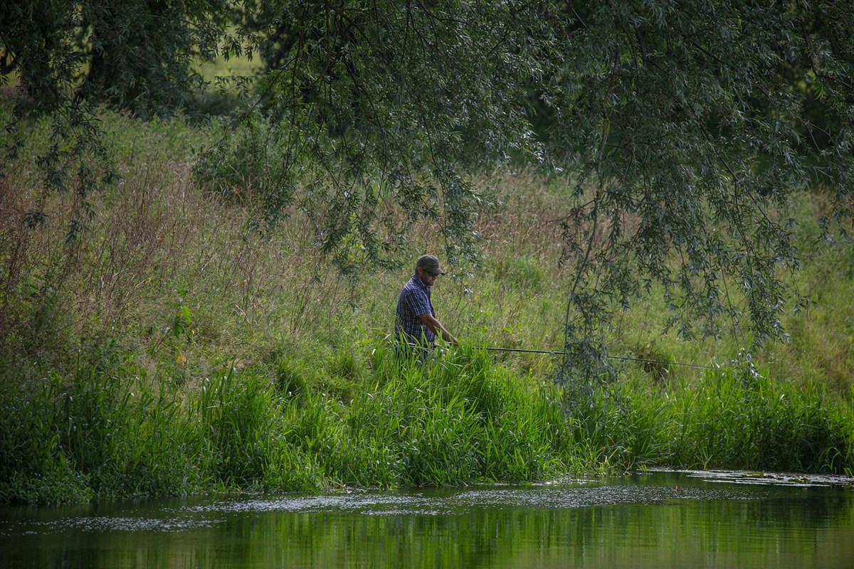 Fishing
