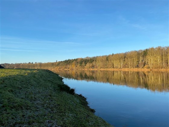 Yardford Fisheries