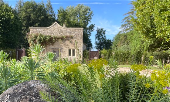 Garden view
