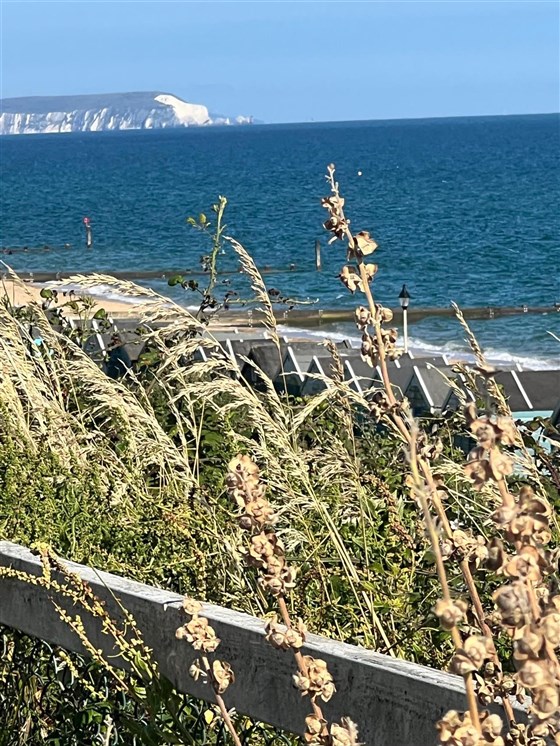 Cliff top View