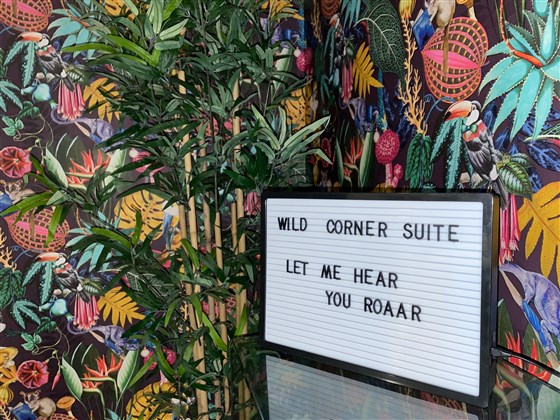 Wild Corner Suite