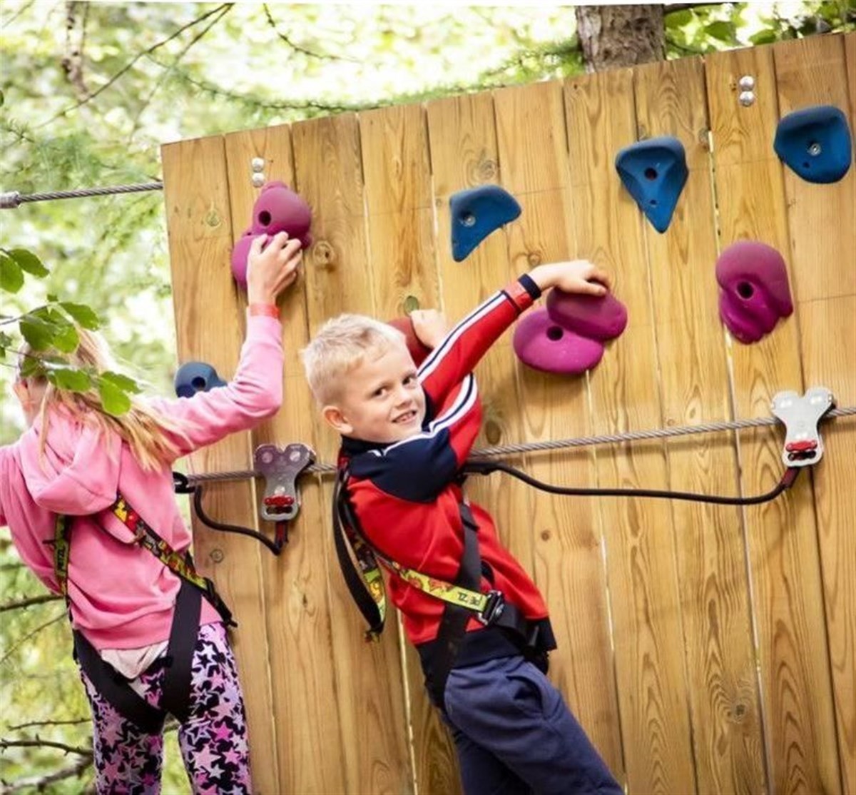 Go Ape