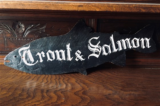 Salmon Fishing
