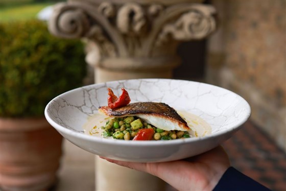 Sample Dish