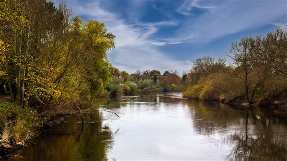 The Hope & Anchor, Ross-on-wye