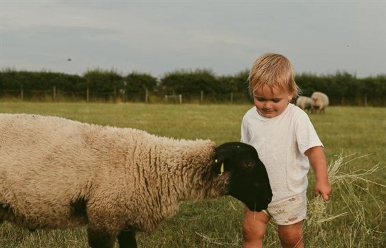 Farm activities